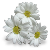 http://ourflowers.ucoz.ru/nagradi/flo/Flower18.png